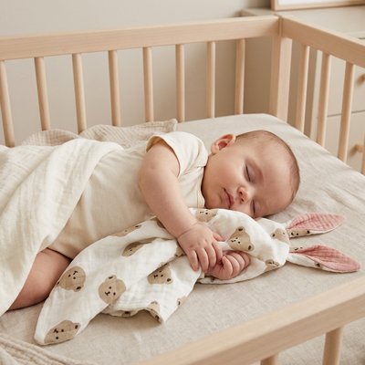 Doudou  ourson aide bebe a dormir